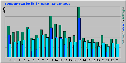 Stunden-Statistik im Monat Januar 2025